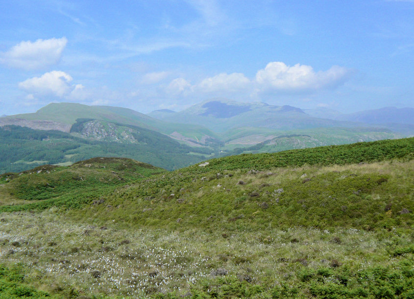 Scafell Scafell